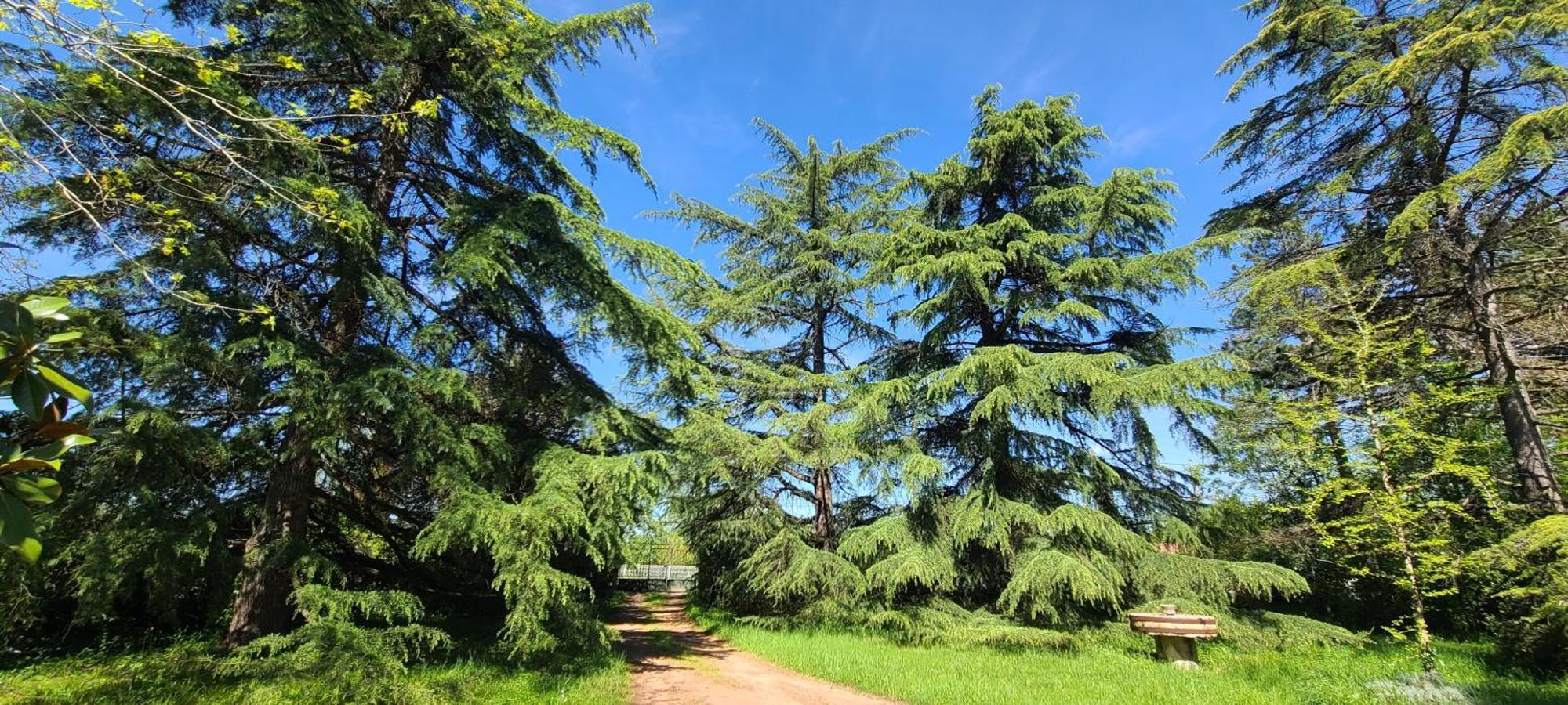 Le Manoir Du Moulin De Madame Bed & Breakfast วีเนิฟ-โซร์-ล็อต ภายนอก รูปภาพ