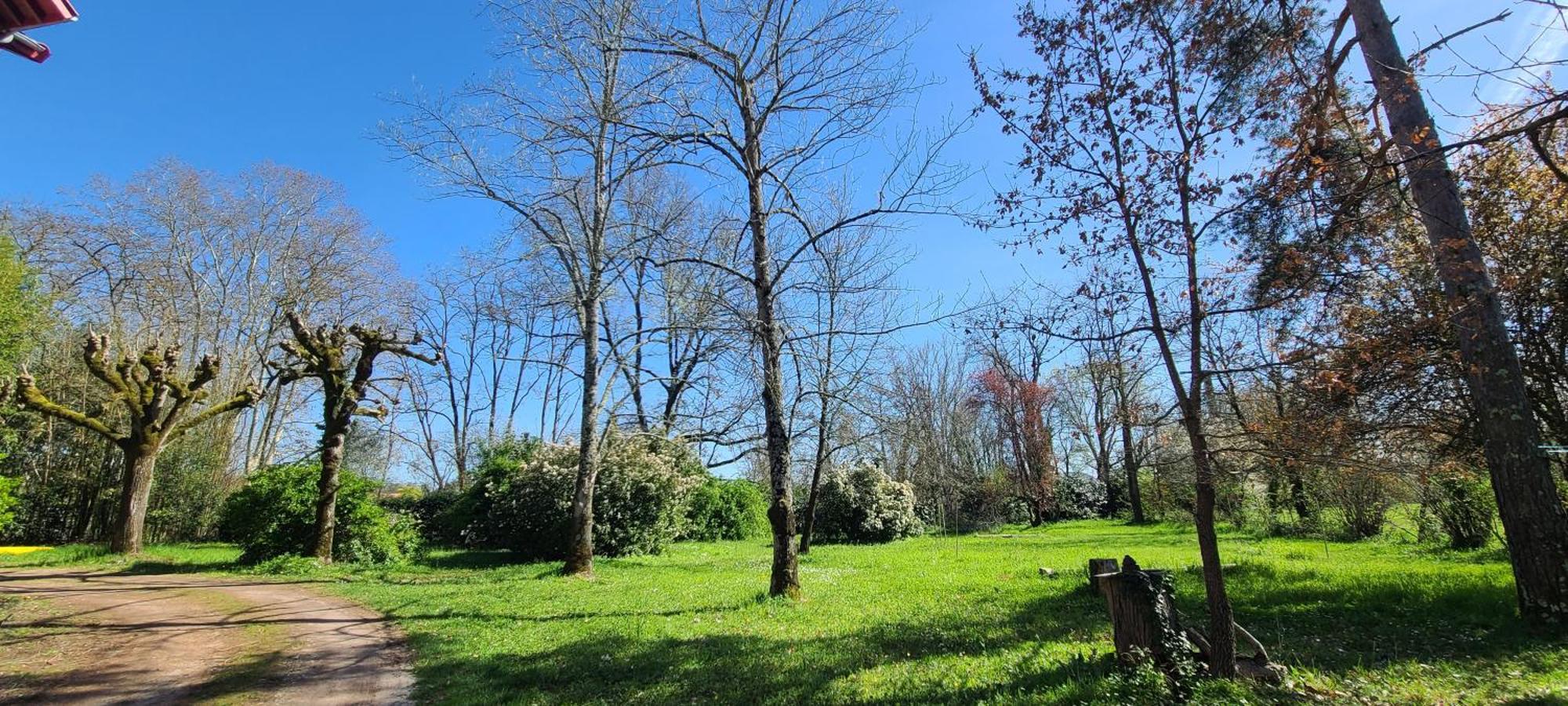 Le Manoir Du Moulin De Madame Bed & Breakfast วีเนิฟ-โซร์-ล็อต ภายนอก รูปภาพ